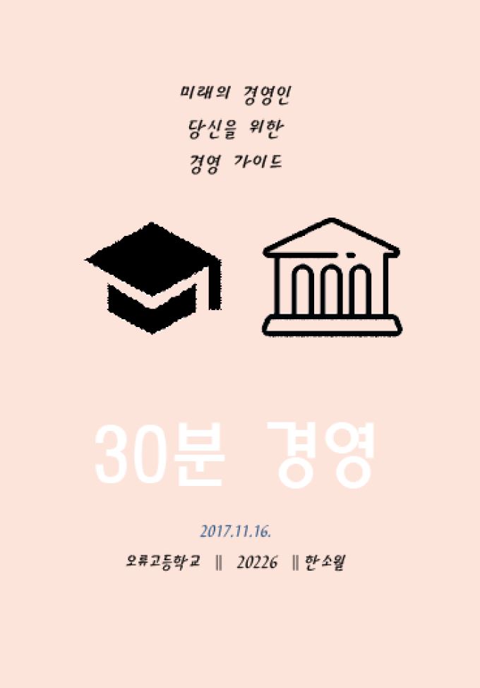 30분 경영 - 미래의 경영인 당신을 위한 경영 가이드