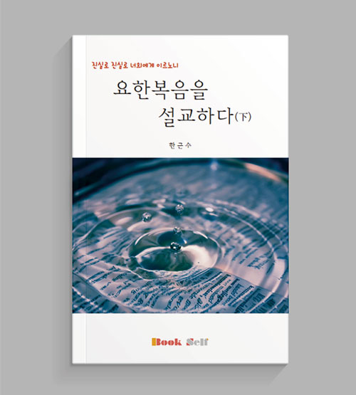 요한복음을 설교하다(하)