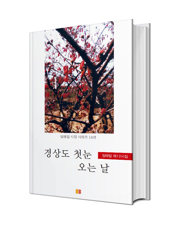경상도 첫눈 오는 날