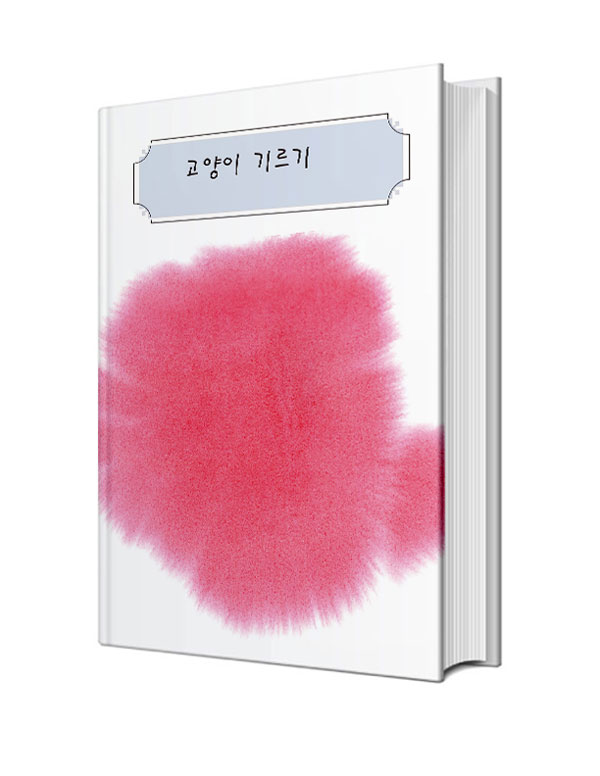고양이 기르기