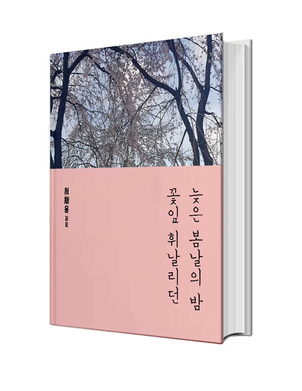 꽃잎 휘날리던 늦은 봄날의 밤