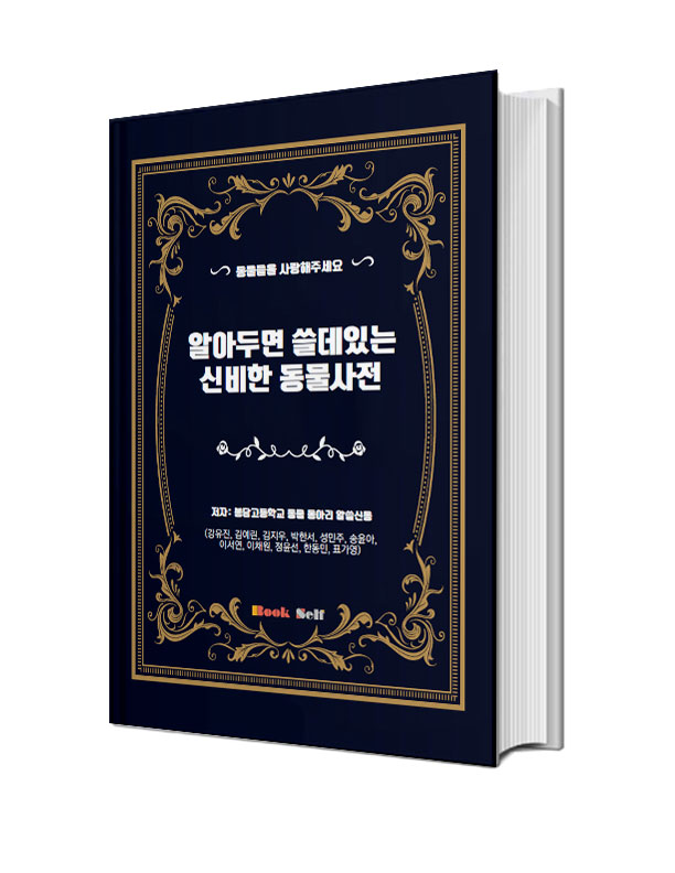 알아두면 쓸데있는 신비한 동물사전